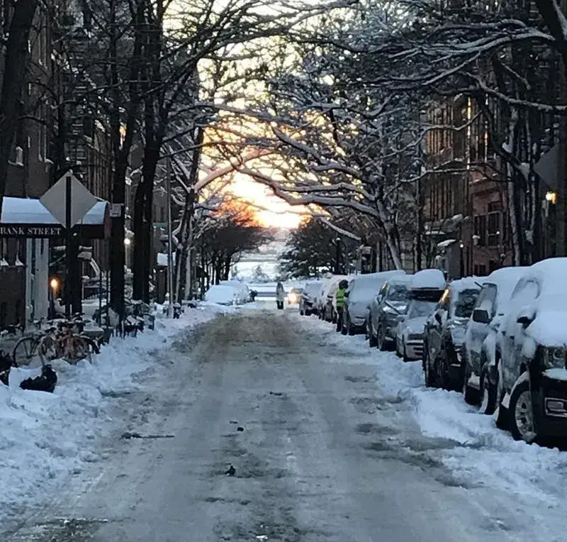Parent's Guide to Winter in Greenwich Village